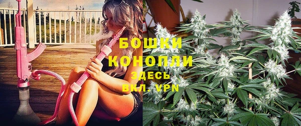 прущая мука Няндома